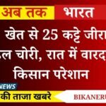 Nokha News: खेत से 25 कट्टे जीरा और मोबाइल चोरी, रात में वारदात से किसान परेशान