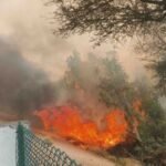 Bajju News: नहर किनारे लगी भीषण आग, फसलें जलने का खतरा!