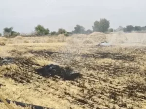 बीकानेर: भीषण आग से 10 बीघा गेहूं की फसल राख, किसानों को भारी नुकसान