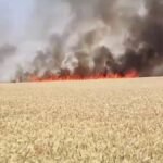 बीकानेर: भीषण आग से 10 बीघा गेहूं की फसल राख, किसानों को भारी नुकसान