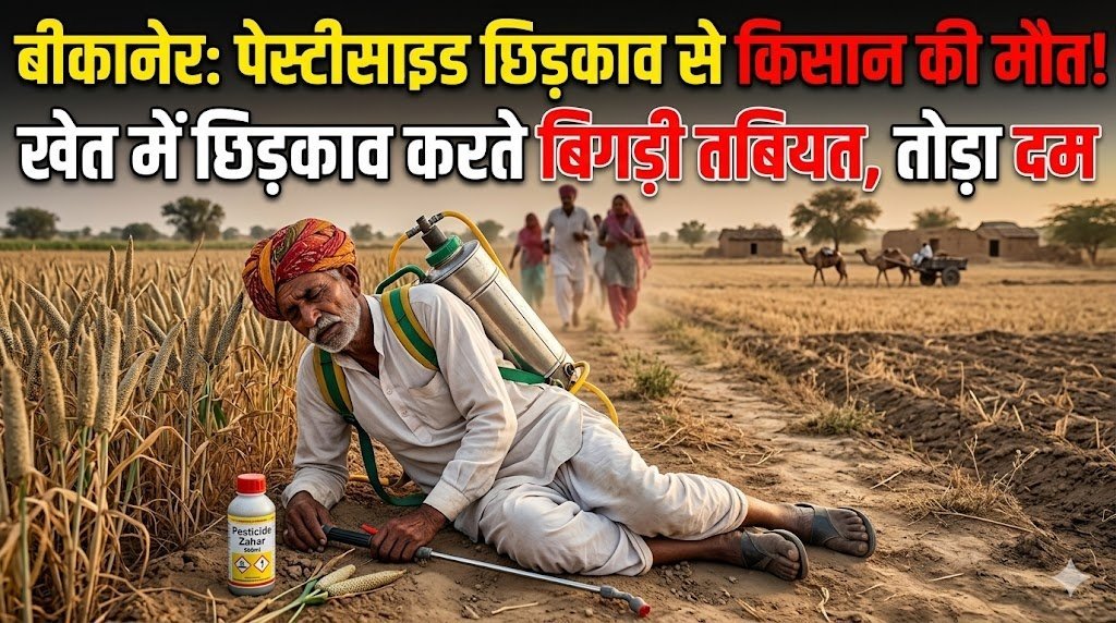 बीकानेर: पेस्टीसाइड का छिड़काव करते बिगड़ी तबियत, किसान की हुई मौत