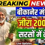 Bikaner Mandi Bhav में बड़ा उछाल! जीरा ₹20000 पार, सरसों में भी तेजी