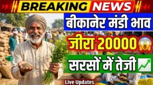 Bikaner Mandi Bhav में बड़ा उछाल! जीरा ₹20000 पार, सरसों में भी तेजी 1 Bikaner Mandi Bhav